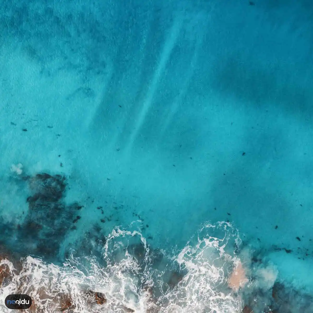 Kırmızı Deniz Mavi İnsan: Edebiyatın Derinliklerinde Kaybolmuş Bir Yolculuk