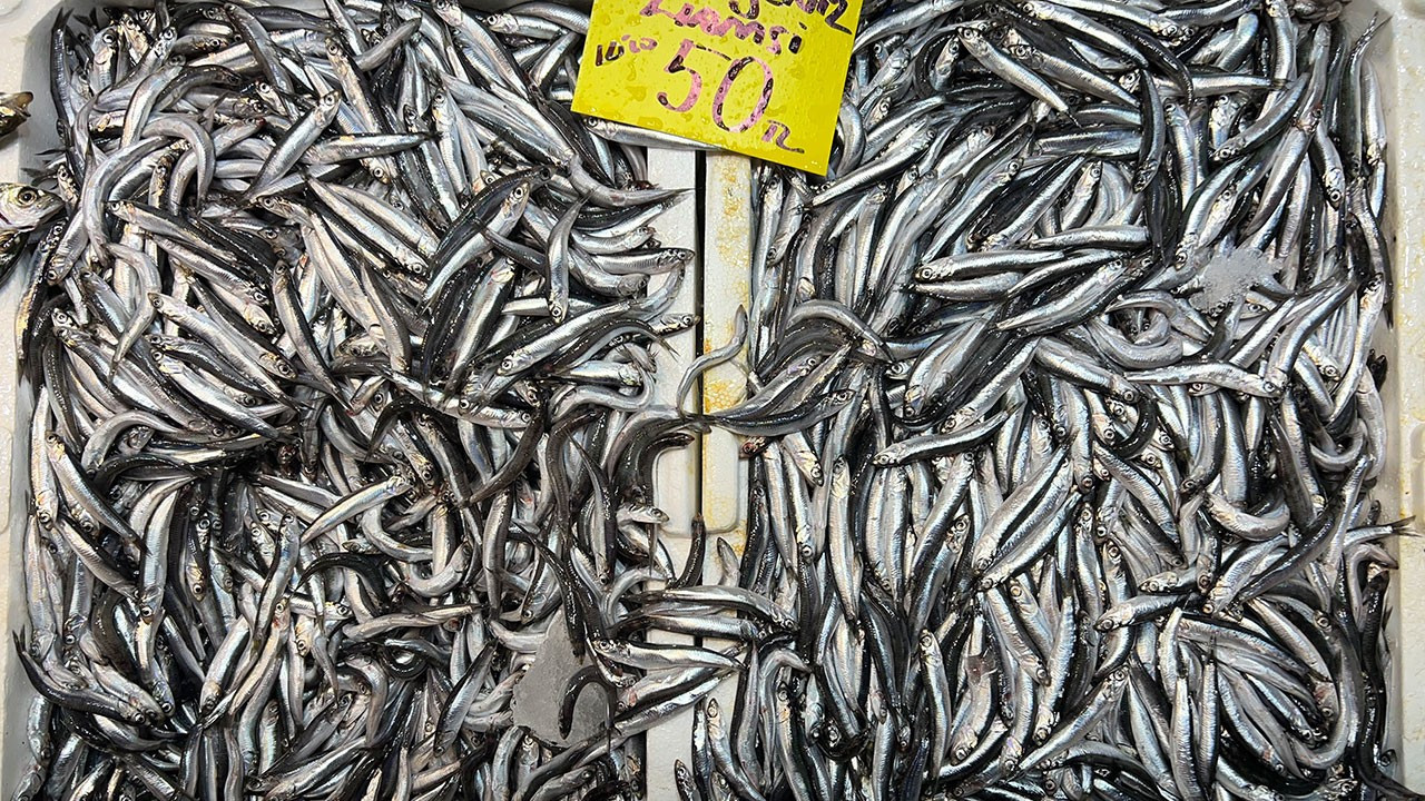 Hamsi Fiyatları Düşüyor: Menteşe’de Balıklar Bol!